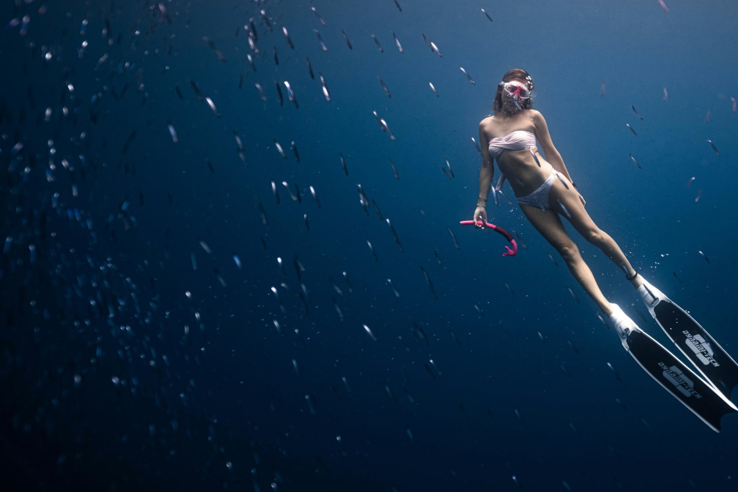 Aqua Action FreeDiving